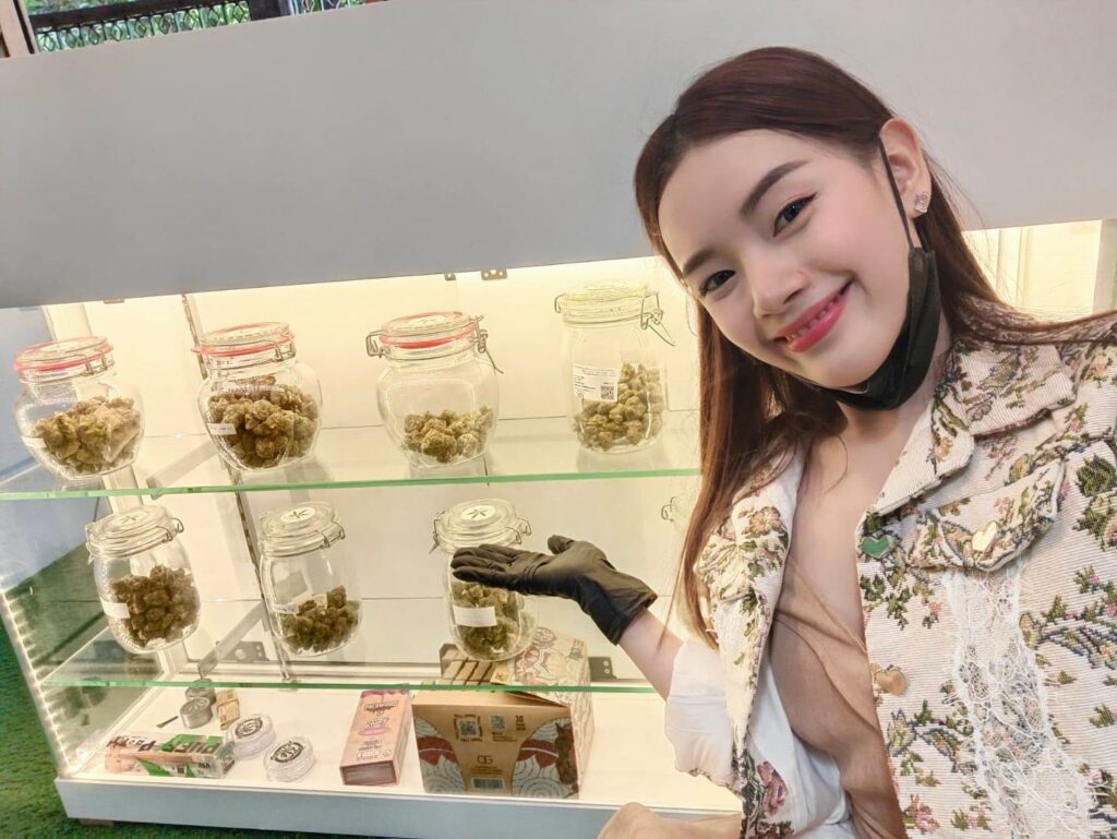 budtender showing cannabis product thailand