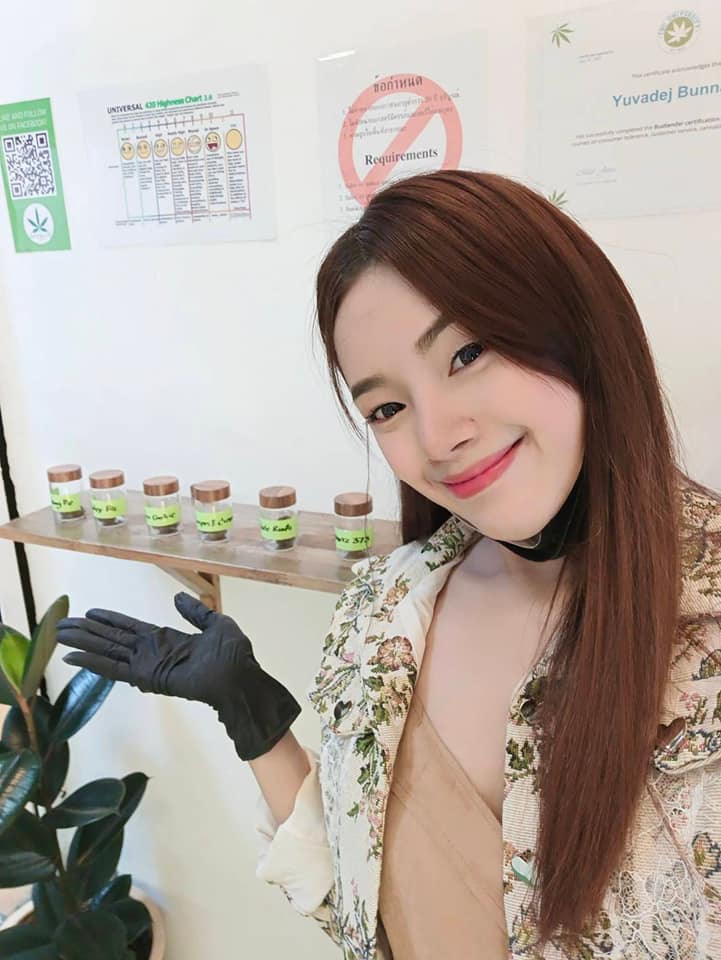 budtender showing cannabis product thailand