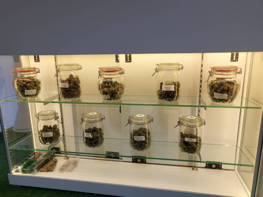 cannabis jars on display