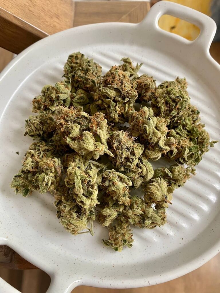 Club 56 Cannabis Dispensary