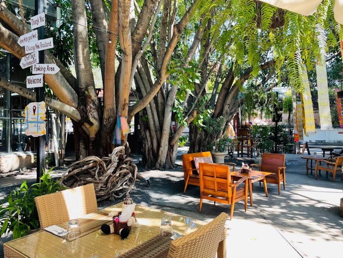 outdoor cafe under the trees