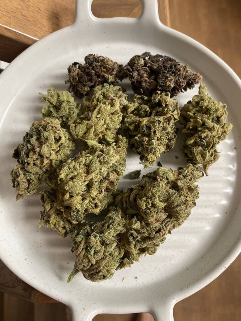 Club 56 Cannabis Dispensary