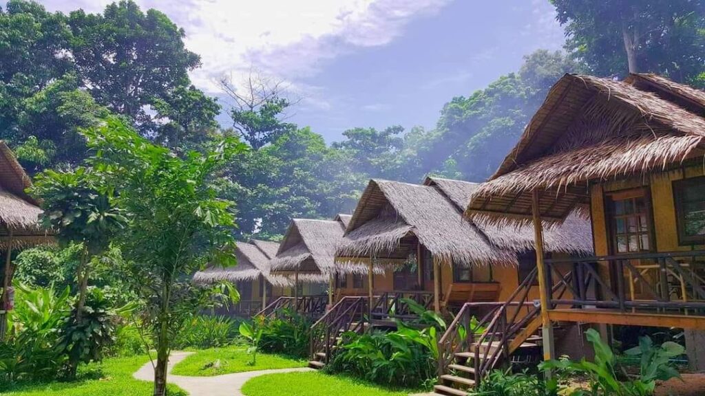 jungle garden huts