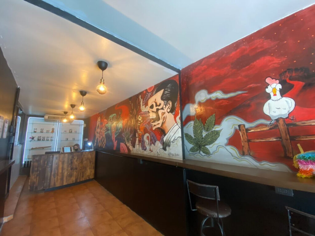 Inside view of Sensii cannabis dispensary