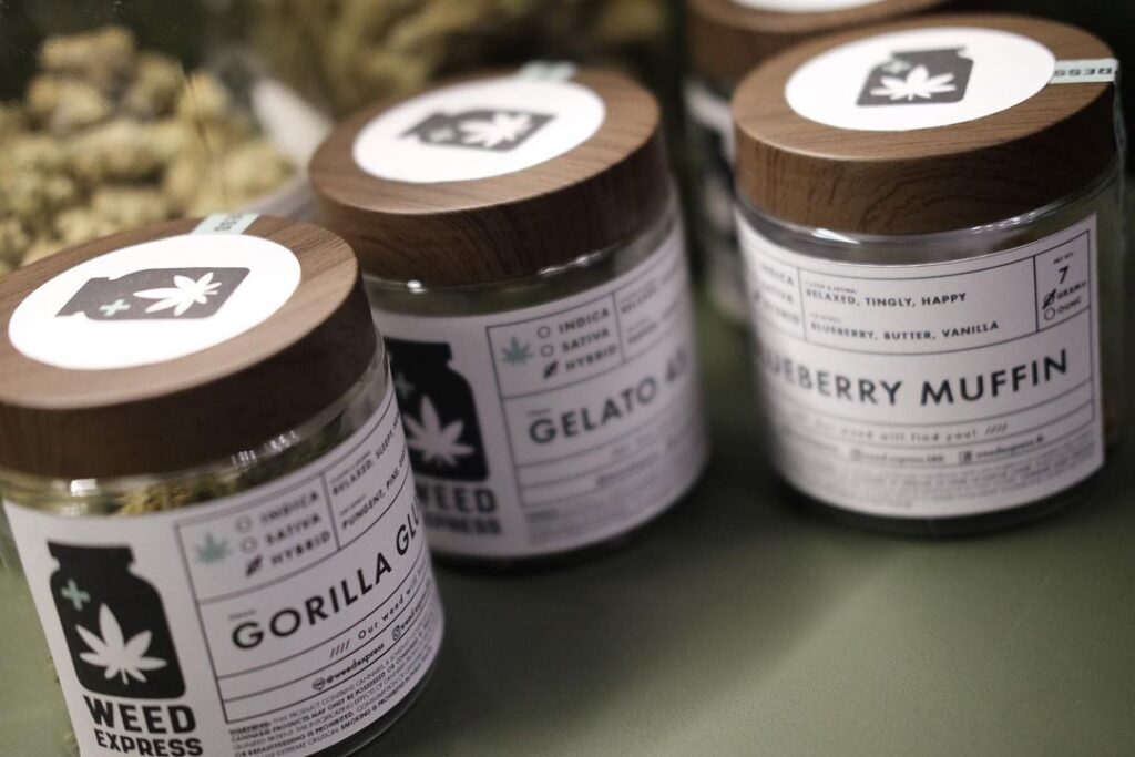 jars of cannabis buds