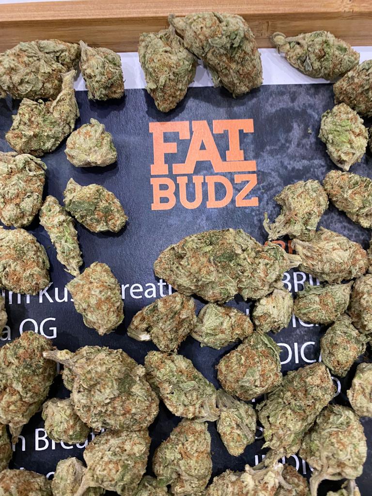 Fat Budz logo surrounded by cannabis