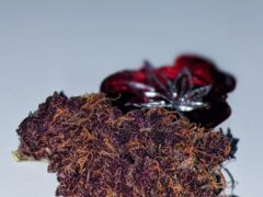 inbound6500829326975261353