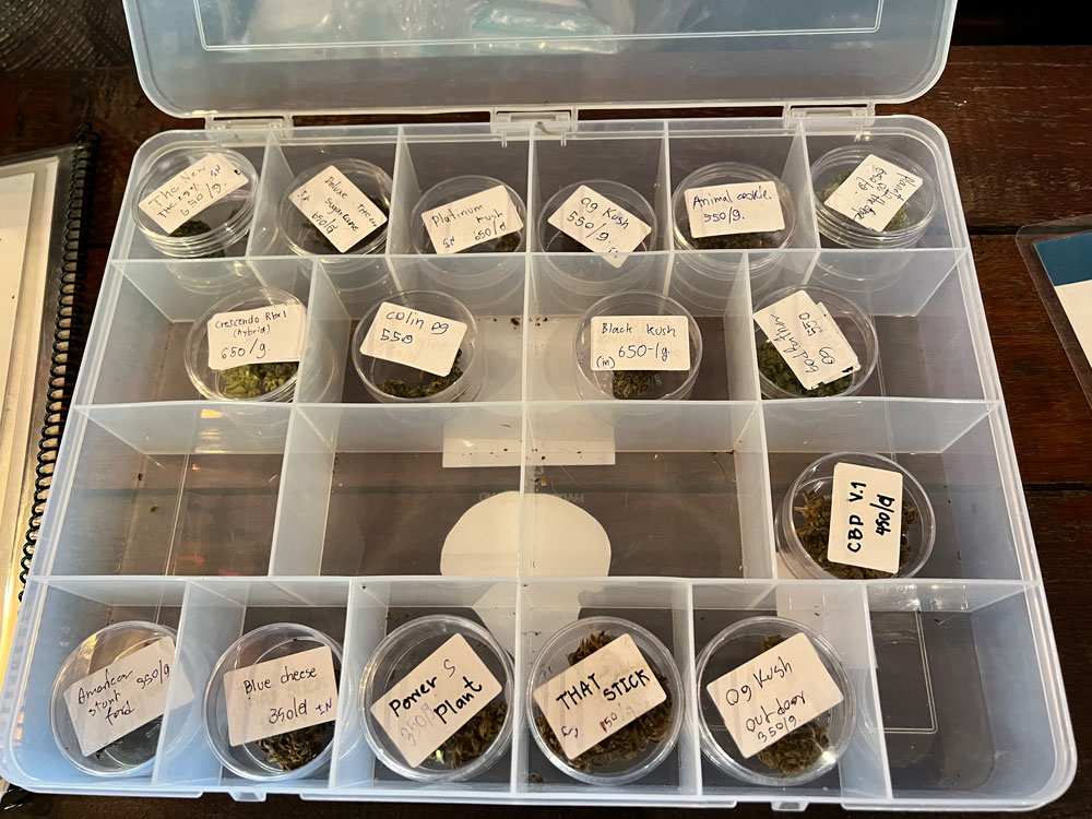 Samples of cannabis menu Deep Green Chiang Mai