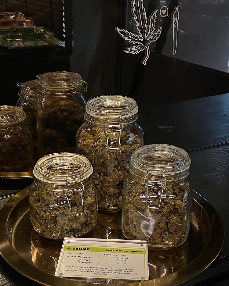 jars of cannabis buds bangkok
