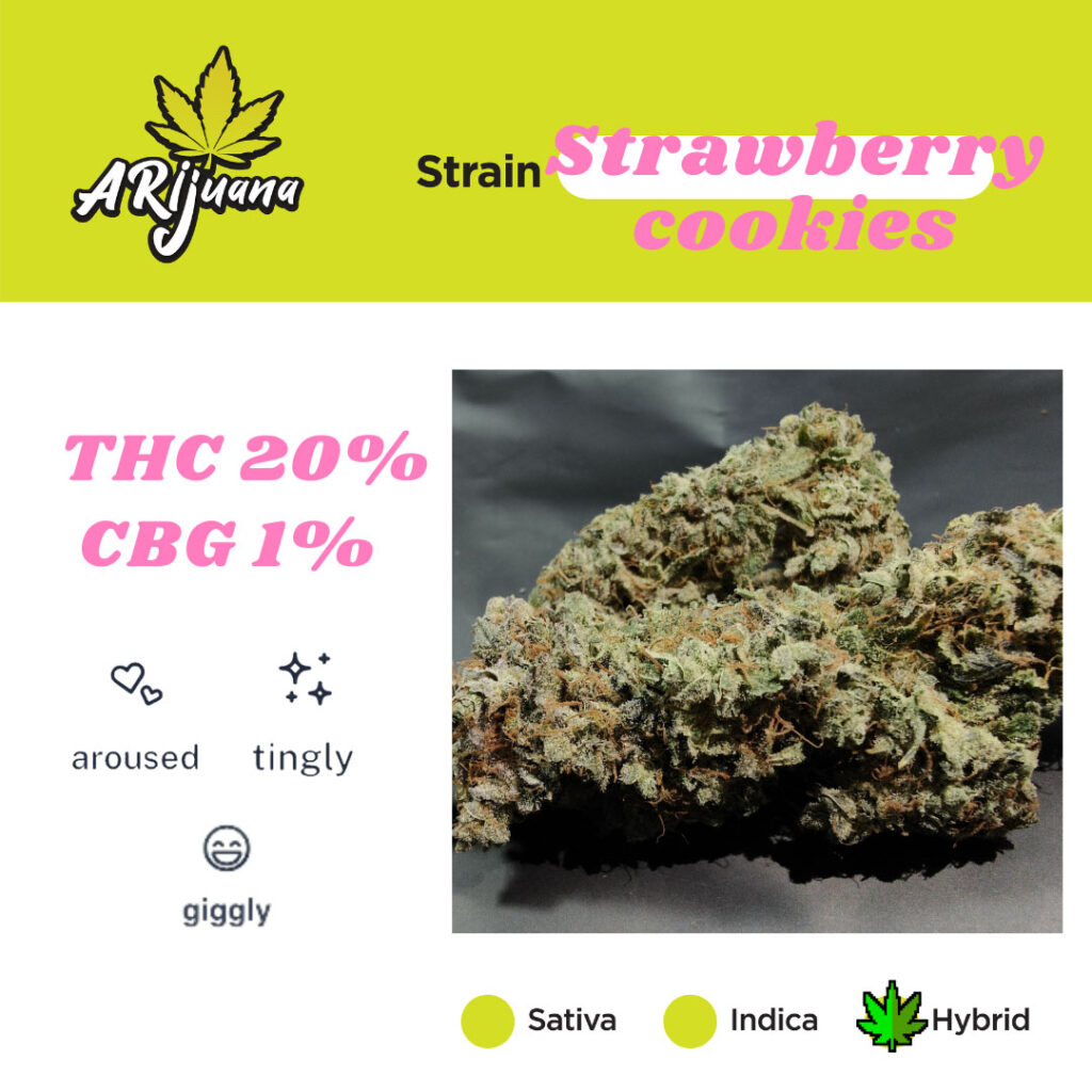 Arijuana bud sample - Strawberry cookies