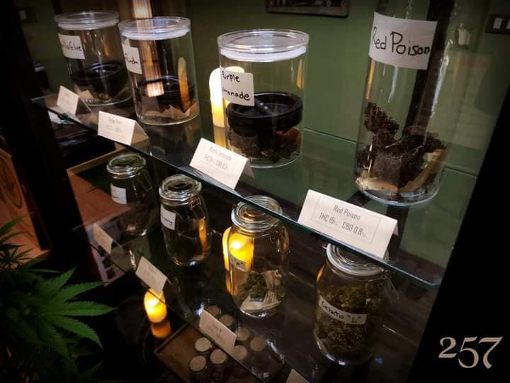 Cannabis jars at 257 Cannaclub Phuket