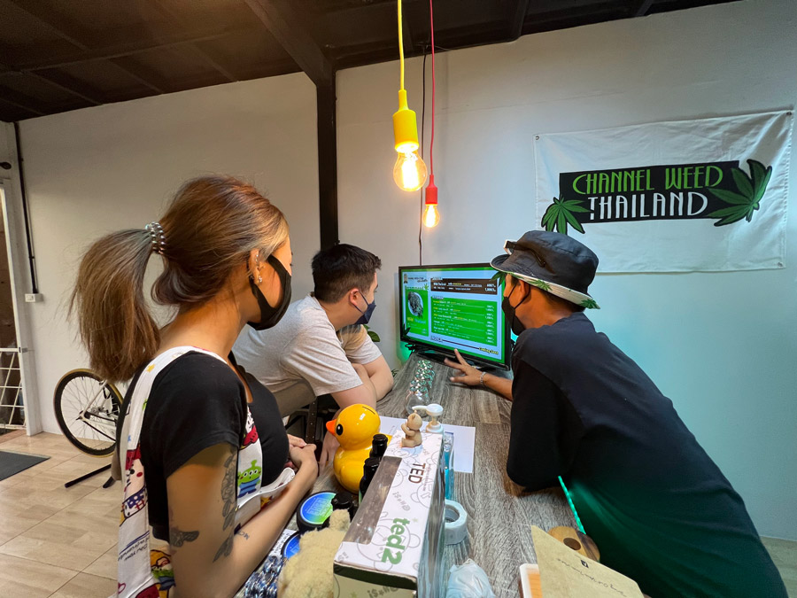 Channel Weed Bangkok Storefront