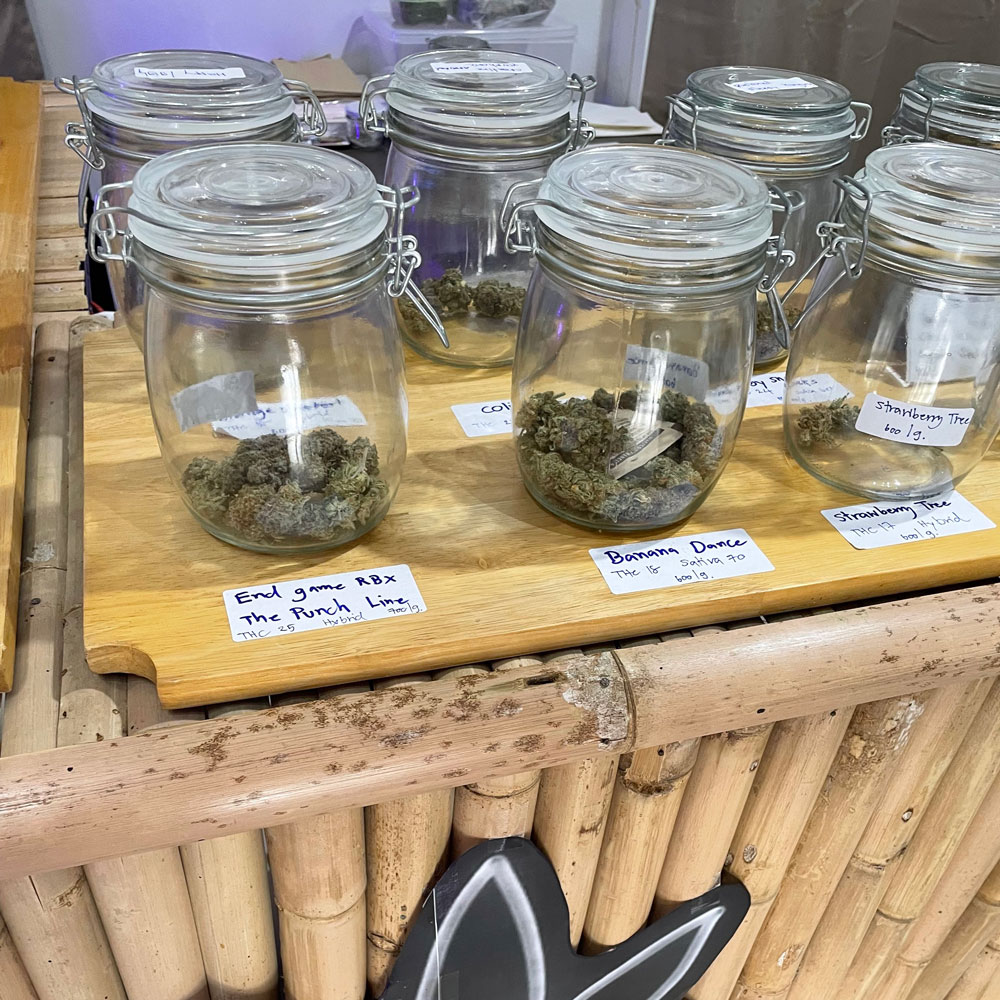 Cosmic Temple Vibes dispensary in Phuket