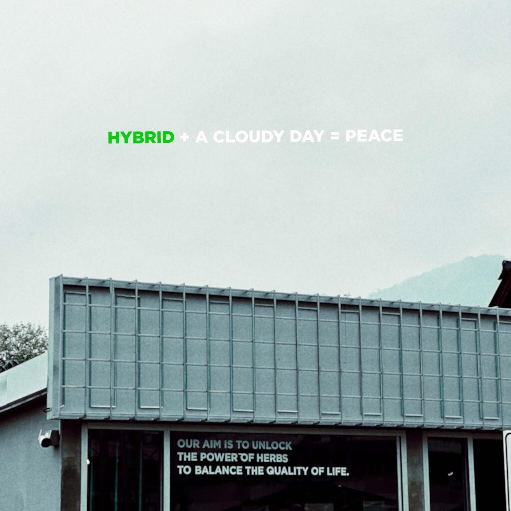 Hybrid Cannabis Dispensary Chiang Mai