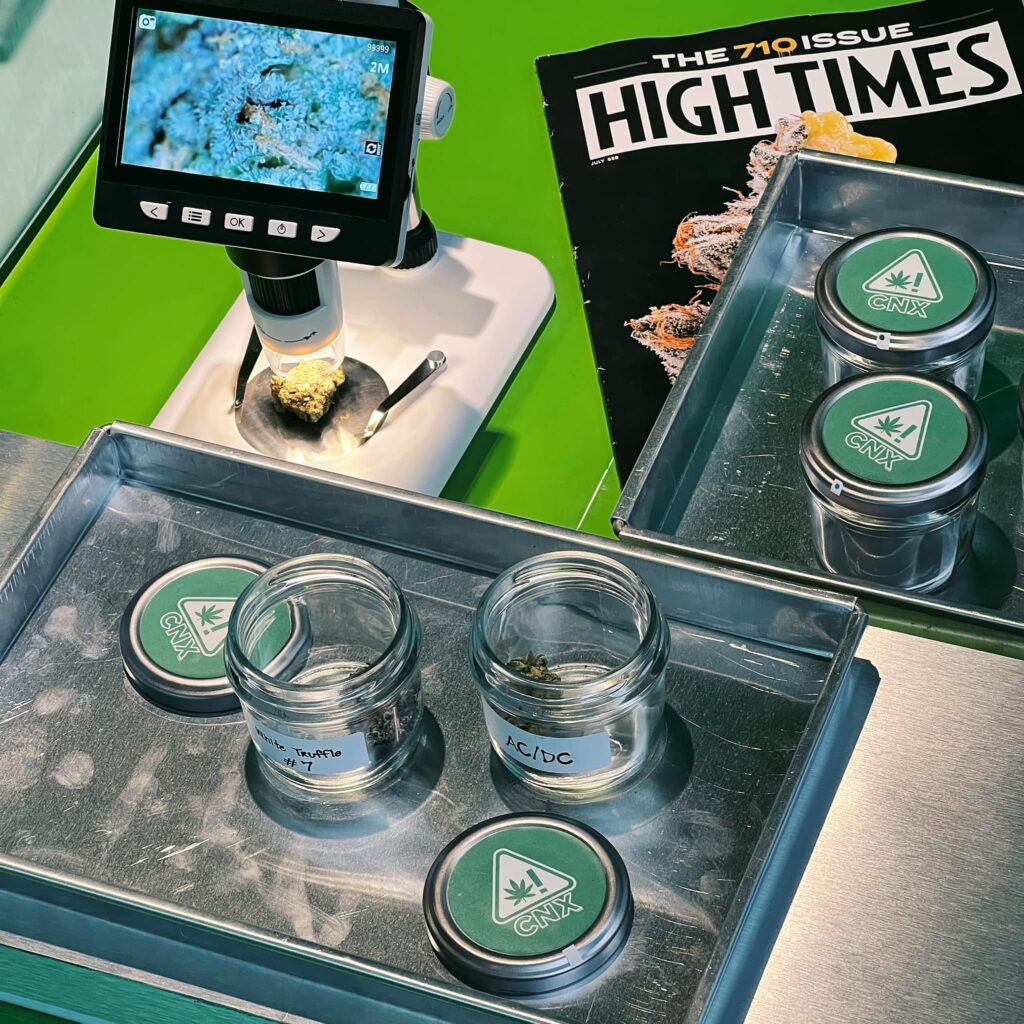 Hybrid Cannabis Dispensary Chiang Mai