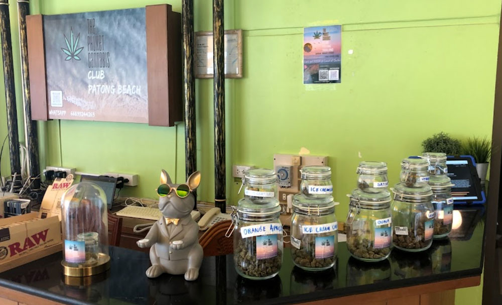 Phuket Cannabis Club Patong Phuket