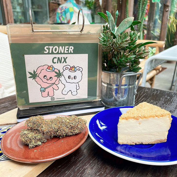 Stoner CNX Chiang Mai Dispensary