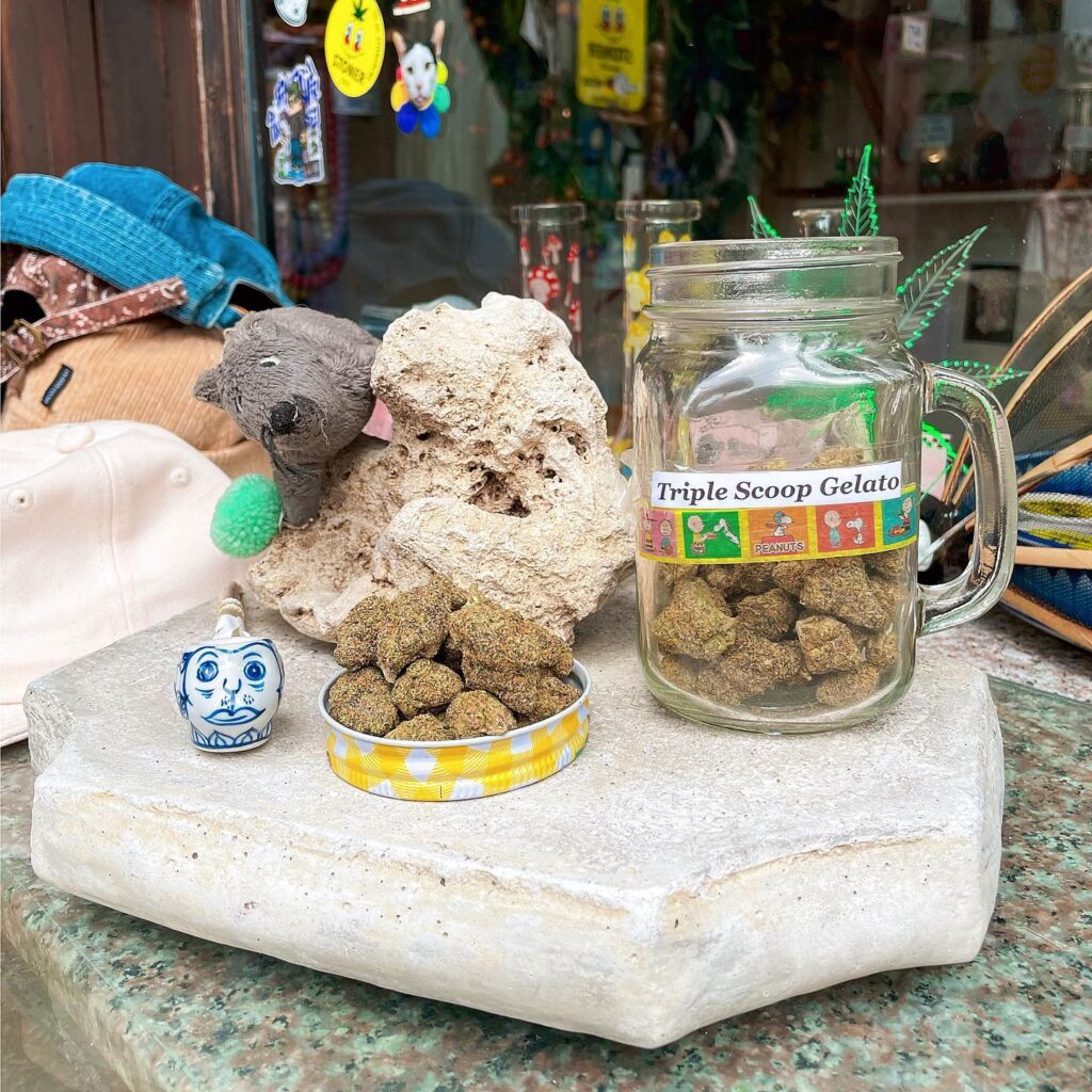 Stoner CNX Chiang Mai Dispensary