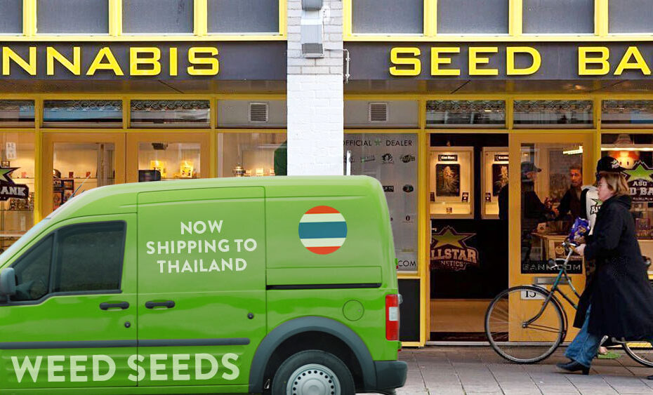 Cannabis seed banks shipping to Thailand