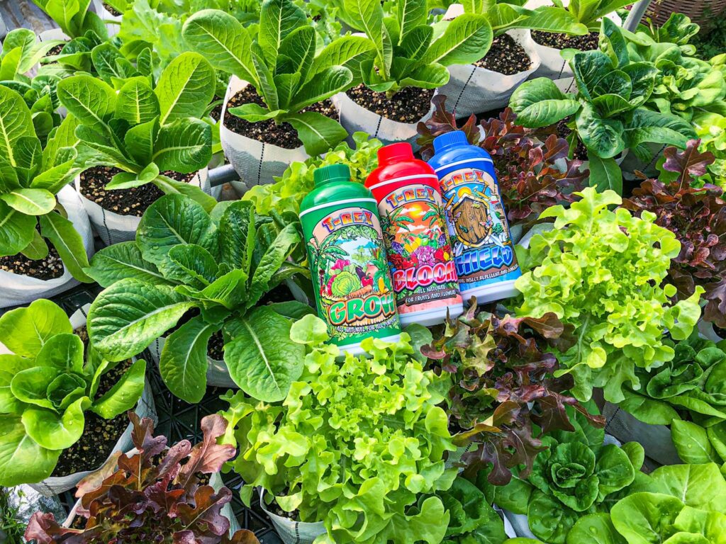 T-Rex Cannabis Nutrients Growshop Thailand