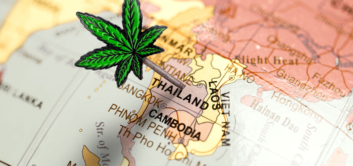 weed trip thailand