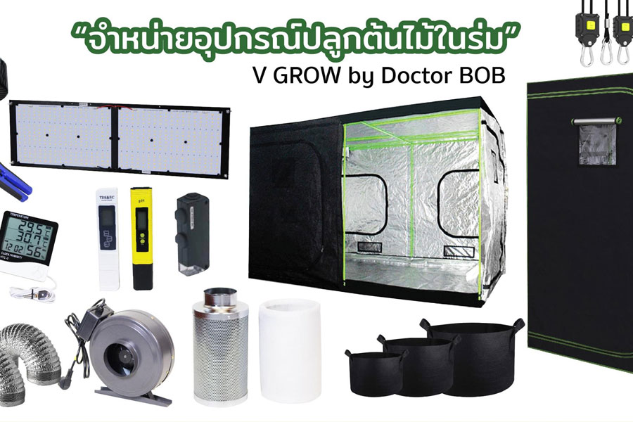 Growkit in Thailand