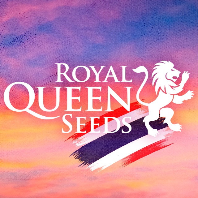RQS Thailand Logo with Thai flag