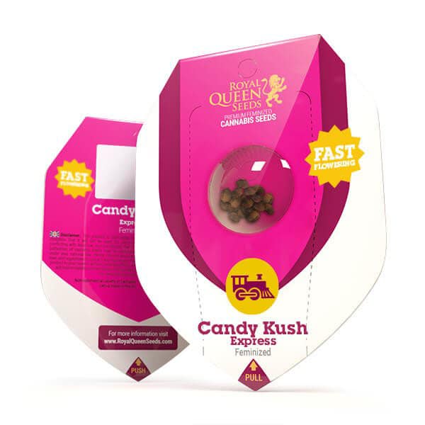 Candy Kush cannabis seeds from Royal Queen Seeds