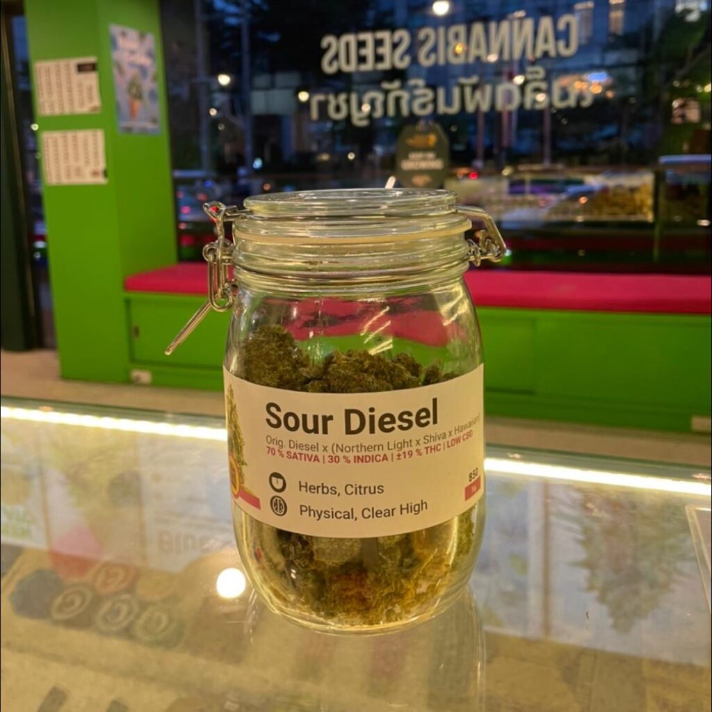 Jar of Sour Diesel cannabis from Royal Queen Seeds Thailand