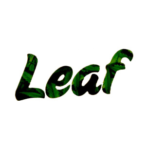 Leaf logo