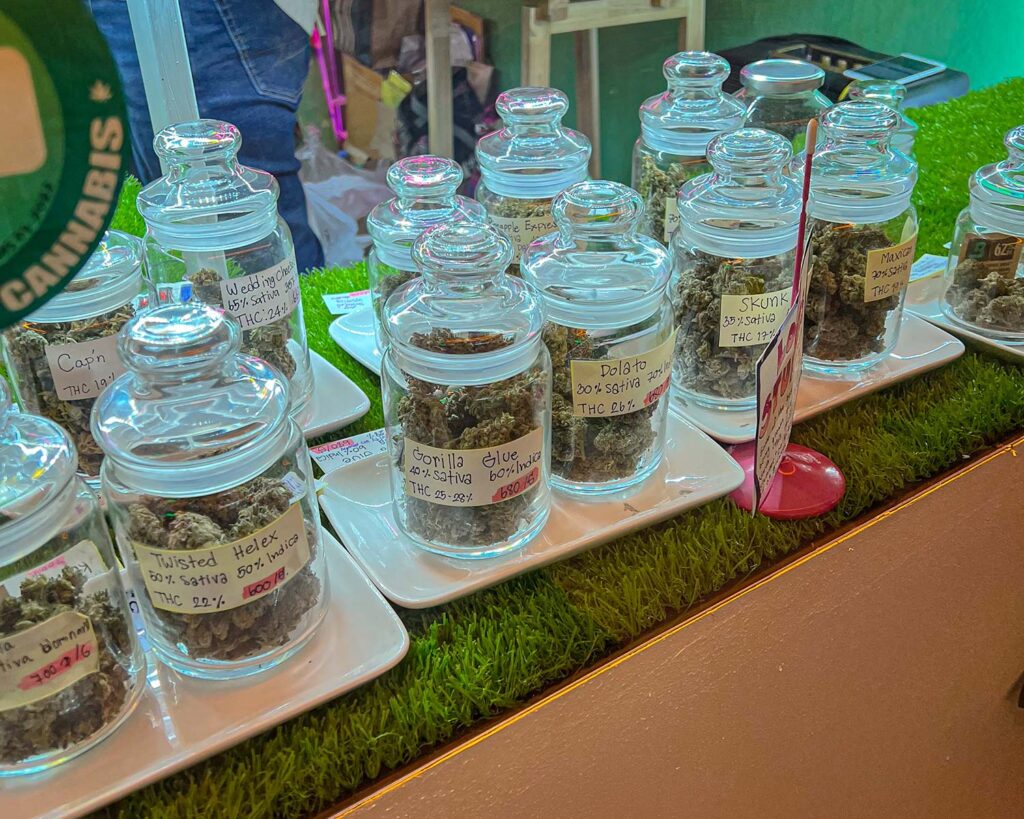 Cannabis product in jars on display in dispensary in Thailand