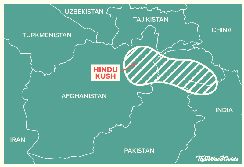 Map of the original Hindu Kush cannabis growing region covering Afghanistan, Pakistan and India. The birthplace of the original cannabis landrace strain.