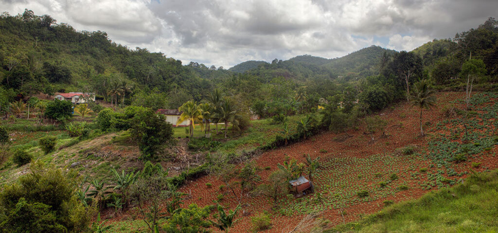 Rural farmland in Jamaica used for cannabis landrace strains