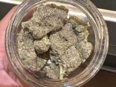 C593432F-5021-421C-AFF9-749C3B304492