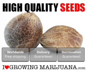 High Quality Seeds from ILGM