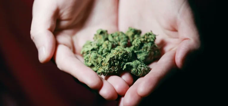 Can Foreigners Grow Weed in Thailand?