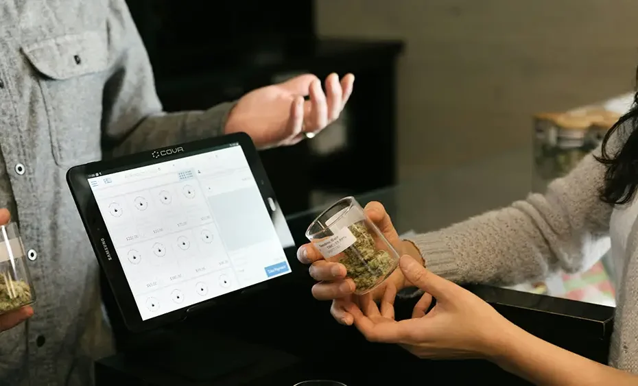 A tourist purchasing cannabis buds from a licensed Thai dispensary, with jars labeled and a point-of-sale system in use.